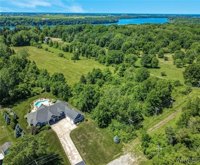 4614 Vrooman Dr, Lewiston, NY 14092 - drone / aerial view of a heavily wooded area and a nearby body of water