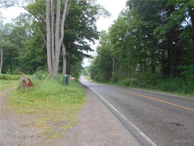 4377 Allegany Rd, Napoli, NY 14755 - photo 2