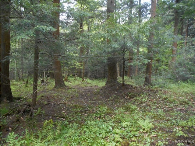 4377 Allegany Rd, Napoli, NY 14755 - photo 21