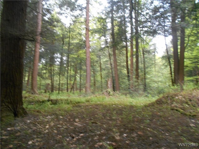 4377 Allegany Rd, Napoli, NY 14755 - photo 23