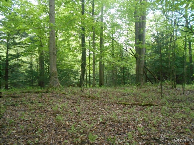 4377 Allegany Rd, Napoli, NY 14755 - photo 25