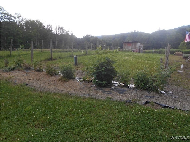 4377 Allegany Rd, Napoli, NY 14755 - photo 29