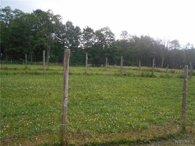 4377 Allegany Rd, Napoli, NY 14755 - photo 39