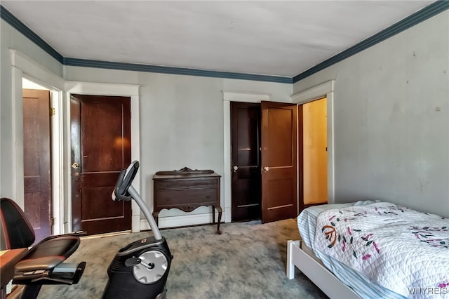 53 Pine Rdg, Cheektowaga, NY 14225 - bedroom featuring carpet and ornamental molding