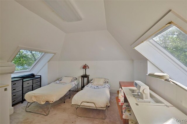 45232 Longue Vue, Alexandria, NY 13607 - photo 33