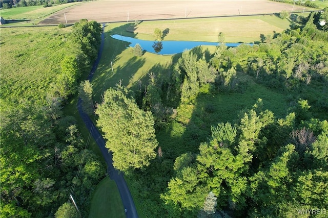 2838 Orangeville Center Rd, Orangeville, NY 14569 - photo 29