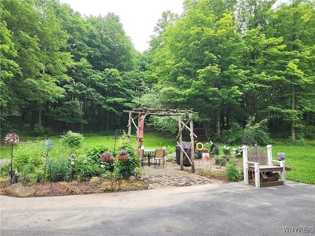 2838 Orangeville Center Rd, Orangeville, NY 14569 - photo 31