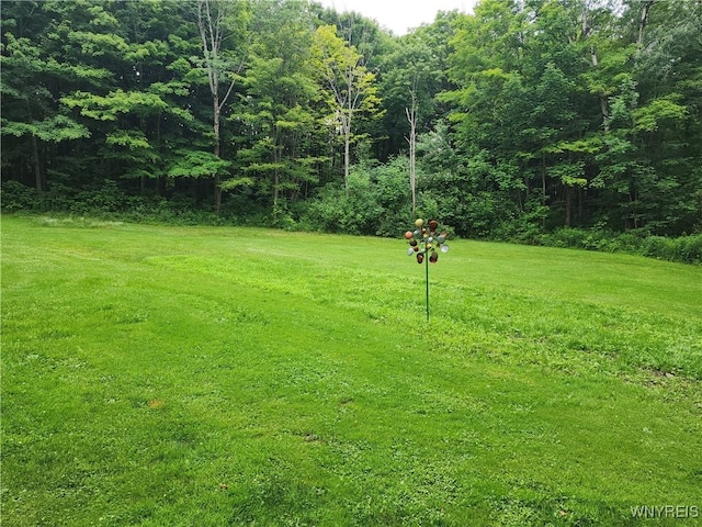 2838 Orangeville Center Rd, Orangeville, NY 14569 - photo 46