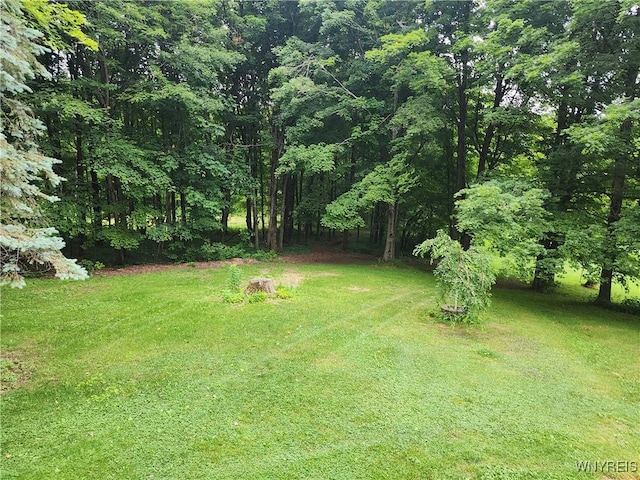 2838 Orangeville Center Rd, Orangeville, NY 14569 - photo 47