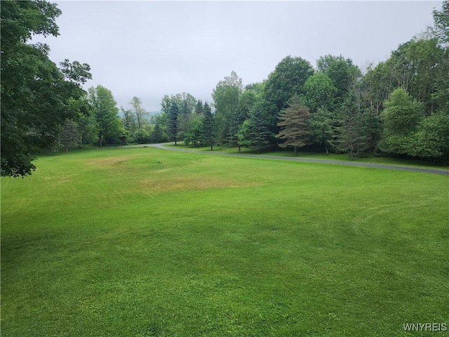 2838 Orangeville Center Rd, Orangeville, NY 14569 - photo 48