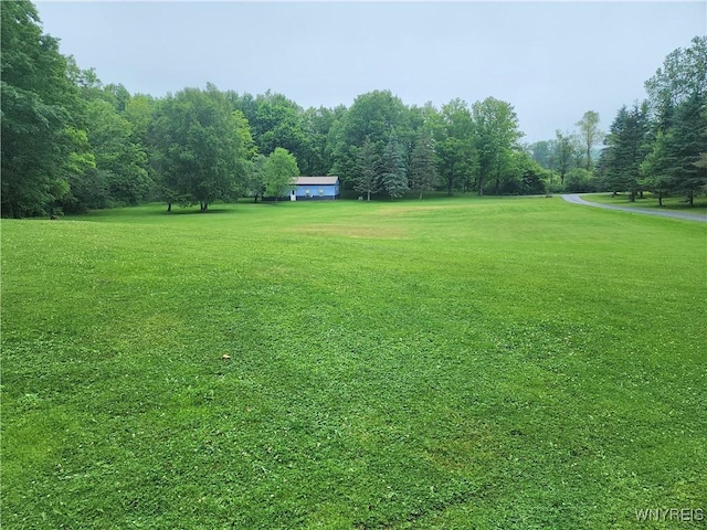 2838 Orangeville Center Rd, Orangeville, NY 14569 - photo 36