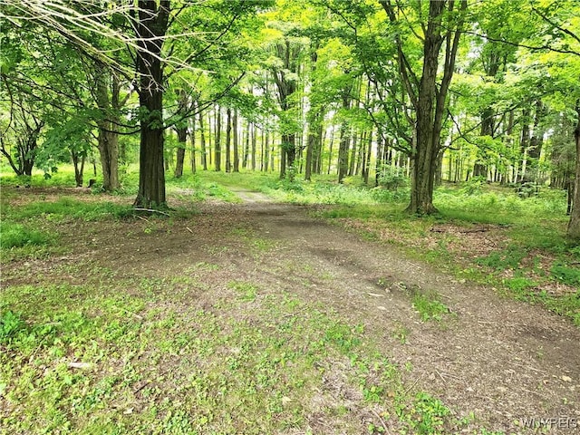 2838 Orangeville Center Rd, Orangeville, NY 14569 - photo 49