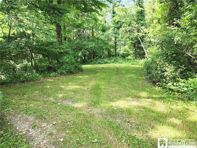 8805 Chautauqua Rd, Pomfret, NY 14063 - photo 10