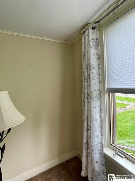 106 Hall St, Conowingo, NY 14772 - photo 9