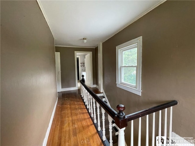 106 Hall St, Conowingo, NY 14772 - photo 22
