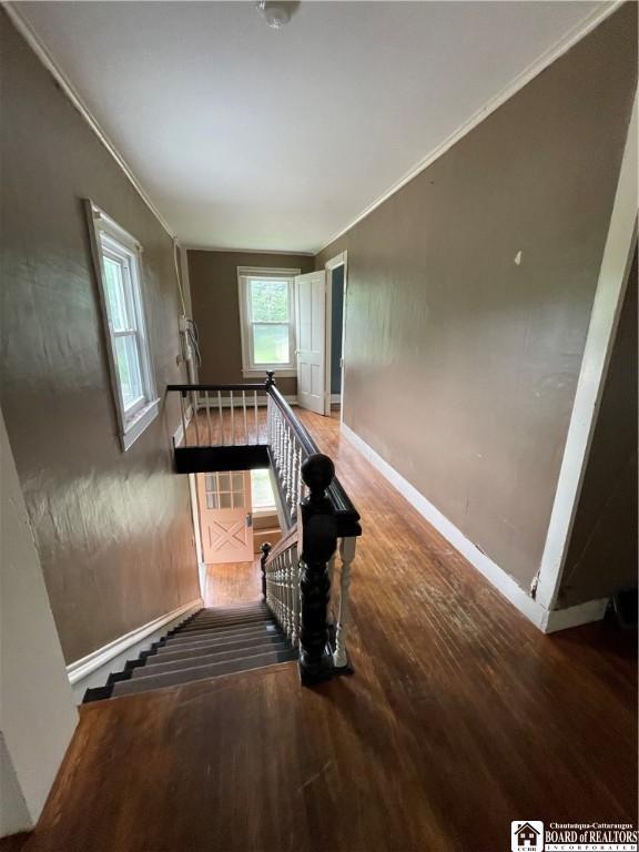 106 Hall St, Conowingo, NY 14772 - photo 30