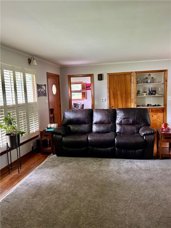 10 W Ave, Hornellsville, NY 14807 - photo 12
