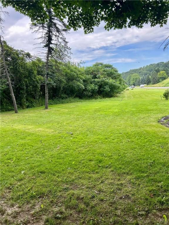10 W Ave, Hornellsville, NY 14807 - photo 33