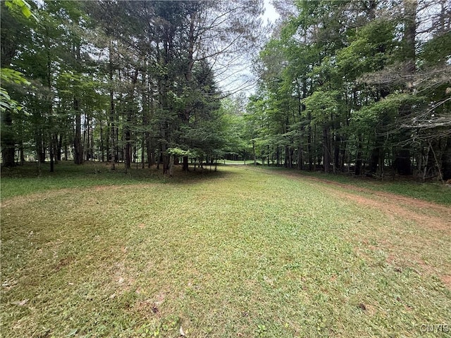 1216 Bear Creek Rd, Forestport, NY 13338