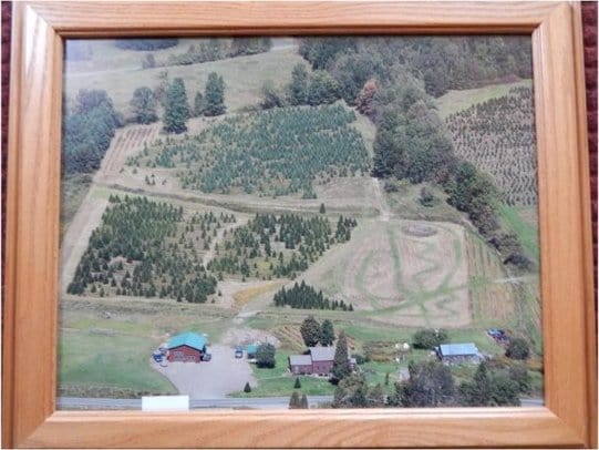 814 County Road 38, Guilford, NY 13733 - detailed view of a view of countryside