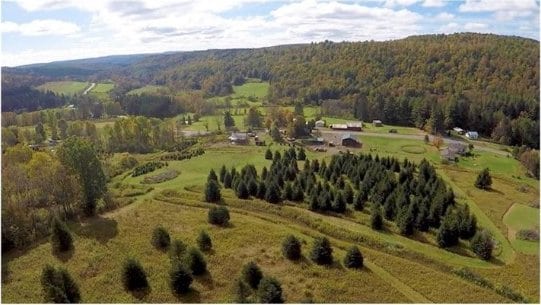 814 County Road 38, Guilford, NY 13733 - aerial overview of property's location featuring a heavily wooded area