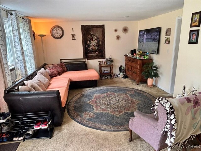 122 Minden Dr, Orchard Park, NY 14127 - photo 37