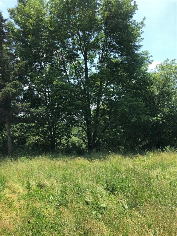 2171 County Highway 8, Otego, NY 13825 - photo 8