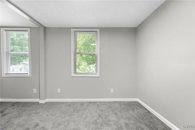 208 Riverside Ave, Fulton, NY 13069 - photo 19