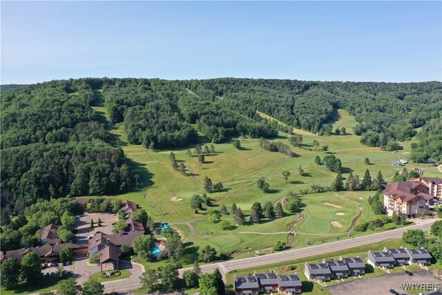 185 Wildflower, Ellicottville, NY 14731 - photo 41