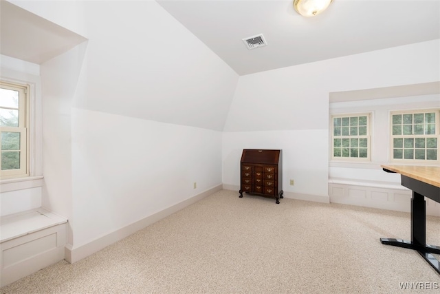 99 Gypsy Ln, Aurora, NY 14052 - photo 20