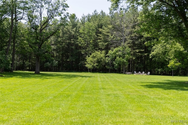 99 Gypsy Ln, Aurora, NY 14052 - photo 45