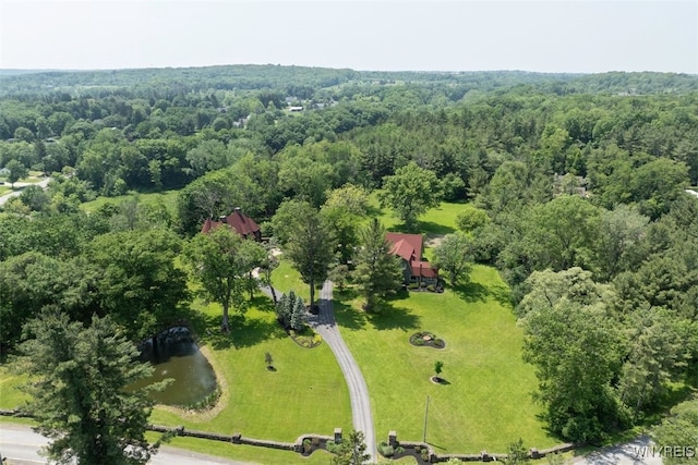 99 Gypsy Ln, Aurora, NY 14052 - photo 48
