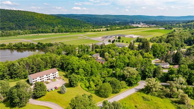 114 Cassie Dr, North Norwich, NY 13815 - drone / aerial view of a forest and a nearby body of water