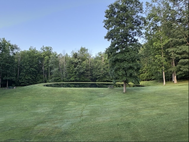 89 Breed Holw Rd, Big Flats, NY 14845 - photo 5