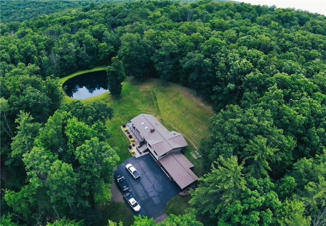 89 Breed Holw Rd, Big Flats, NY 14845 - photo 38