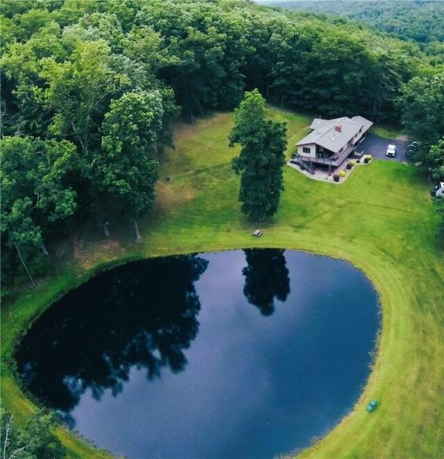 89 Breed Holw Rd, Big Flats, NY 14845 - photo 39