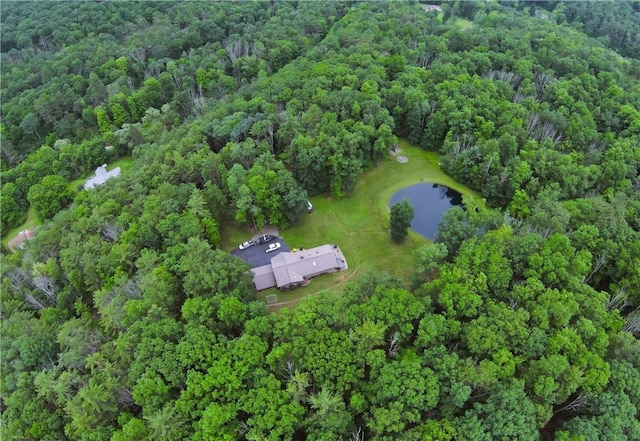 89 Breed Holw Rd, Big Flats, NY 14845 - photo 40
