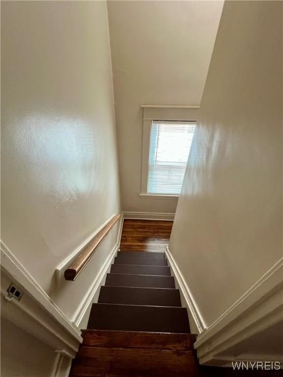 323 Highgate Ave, Buffalo, NY 14215 - photo 20
