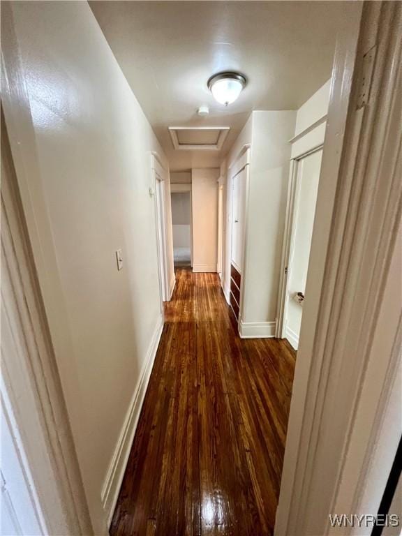 323 Highgate Ave, Buffalo, NY 14215 - photo 27