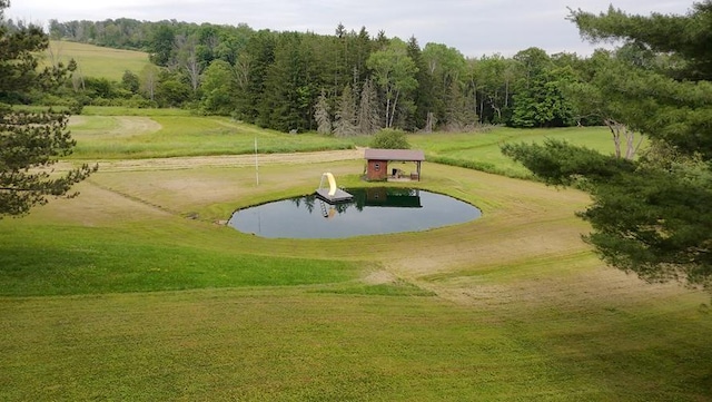 11203 Church Creek Rd, Caton, NY 14858 - photo 37