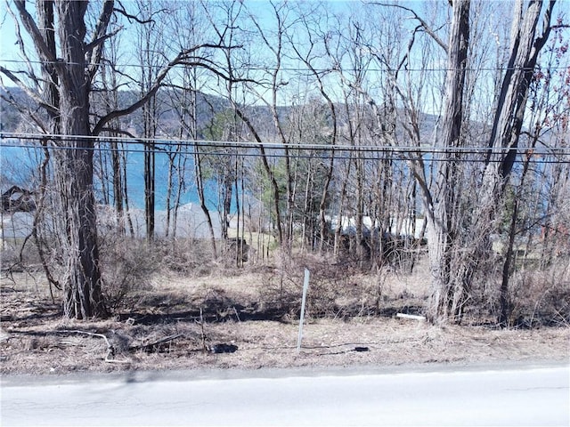 0 County Highway 31, Middlefield, NY 13326