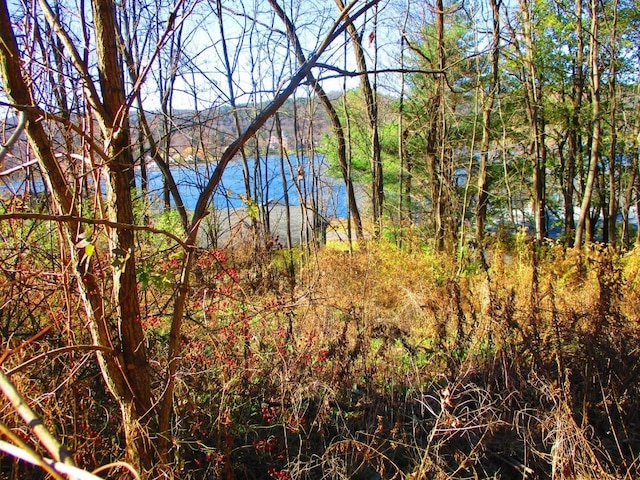 0 County Highway 31, Middlefield, NY 13326