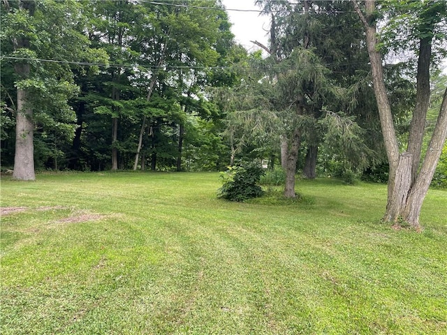 205 Latta Brook Rd, Horseheads, NY 14845 - photo 3