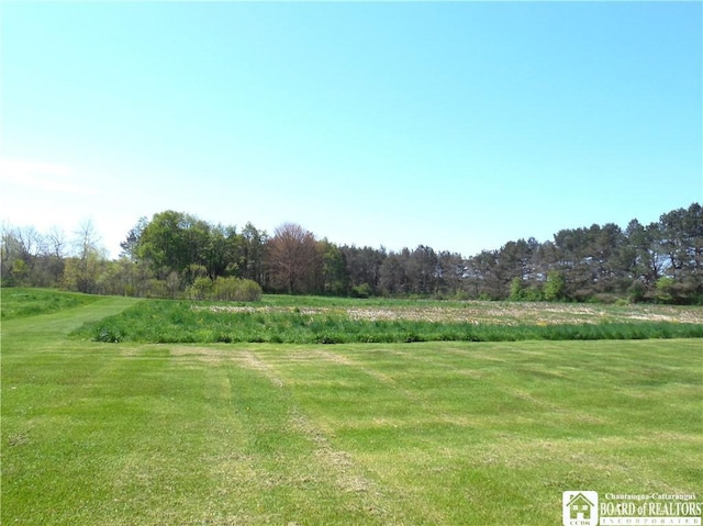 6349 Randolph Rd, North Harmony, NY 14710 - photo 6