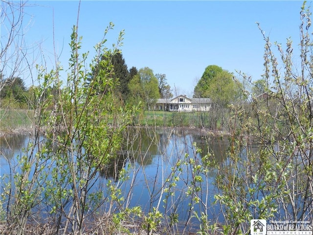 6349 Randolph Rd, North Harmony, NY 14710 - photo 7