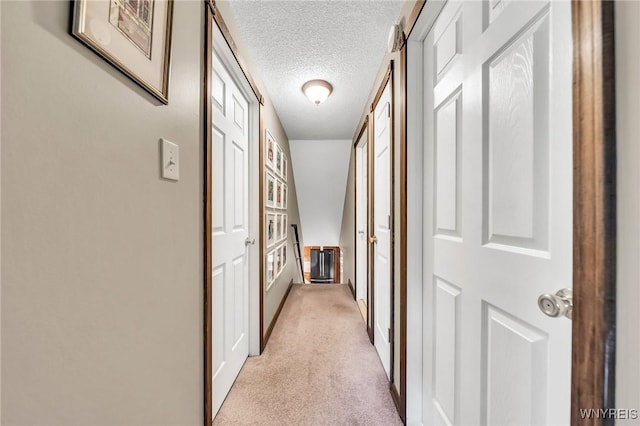 17 Treehaven Rd, West Seneca, NY 14224 - hallway with a textured ceiling and light colored carpet