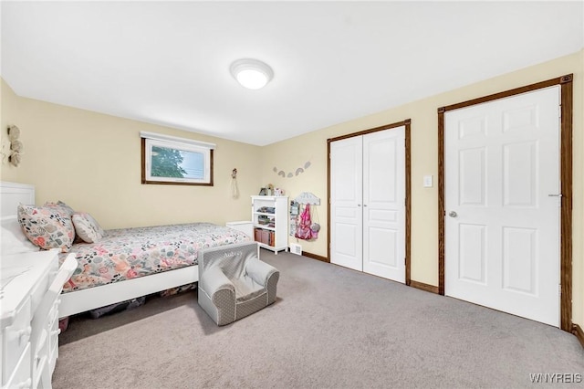 17 Treehaven Rd, West Seneca, NY 14224 - bedroom featuring carpet floors and a closet