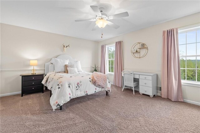 13 Colony Ct, Alexander, NY 14011 - photo 35