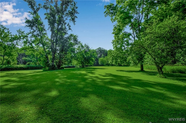 555 Leydecker Rd, West Seneca, NY 14224 - photo 45