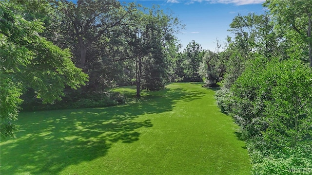 555 Leydecker Rd, West Seneca, NY 14224 - photo 7